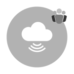 DSI Icon